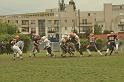 Evry Daily Photo - Foot Us Junior - Corsaires vs Gaulois 837